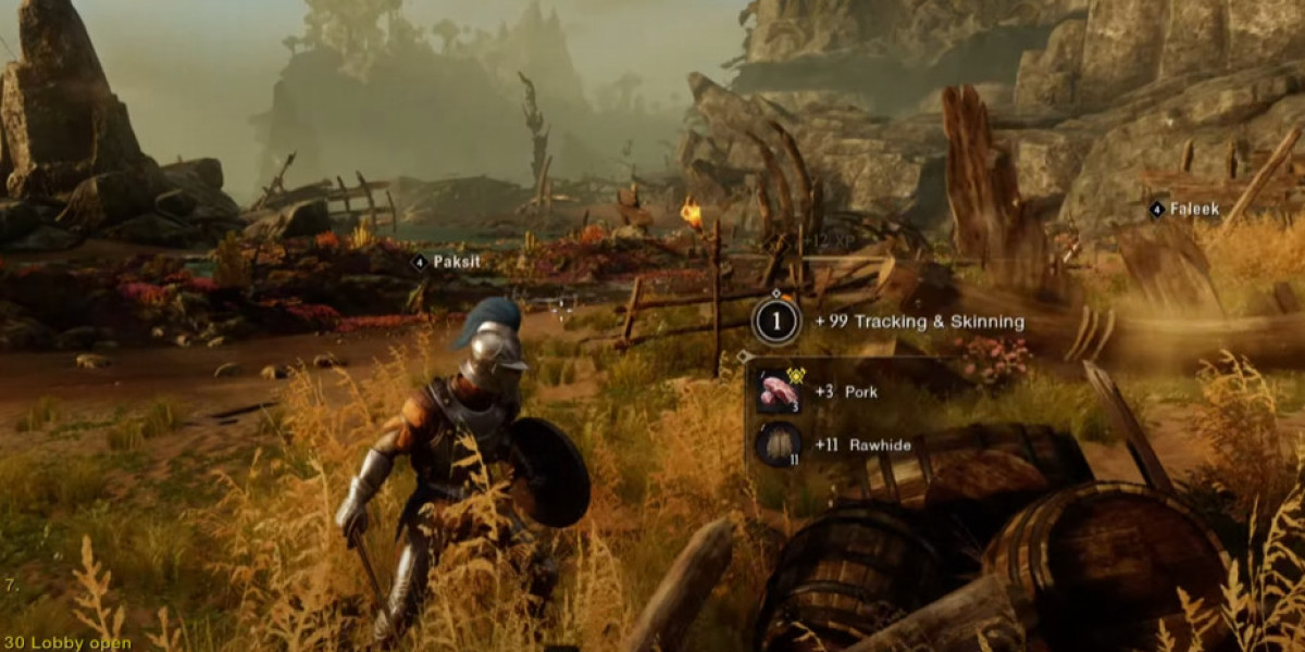 ELD.gg Aeternum Unleashed: How New World Redefines MMORPG Exploration