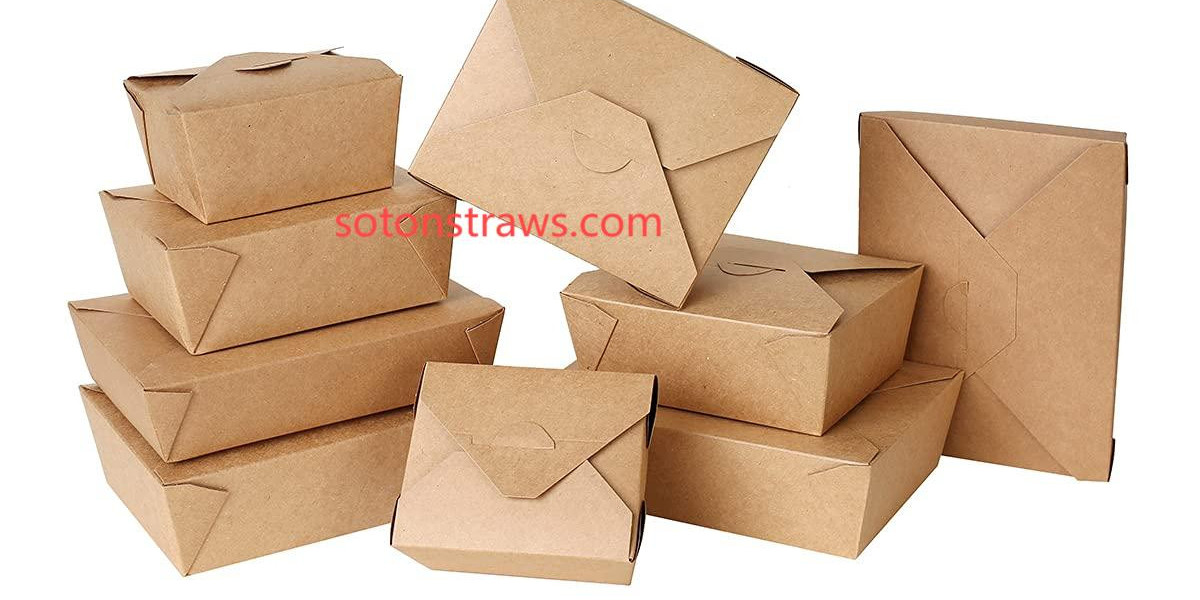 The Paradox of Disposable Kraft Boxes in Green Education