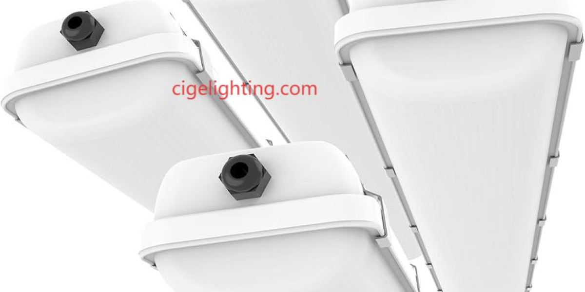 Cigelighting Waterproof Light Manufacturer for Smart Safety